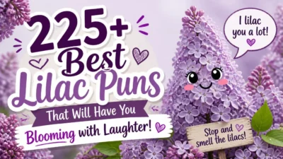 225+ Best Lilac Puns That Will Have You Blooming with Laughter! 💜😂